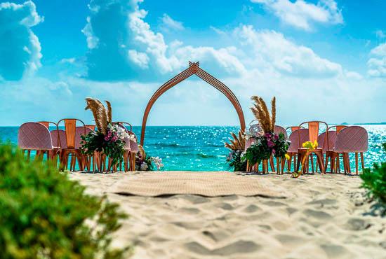 The Wedding Website of Danielle Molle and Tyler Bolin