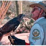 Arizona-Sonora Desert Museum