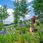 Mountain Biking