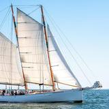 Sailboat Excursions