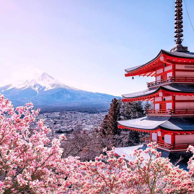 Japan Honeymoon Fund