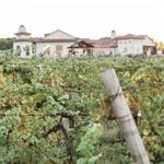 Umbra Winery at La Buena Vida Vineyards