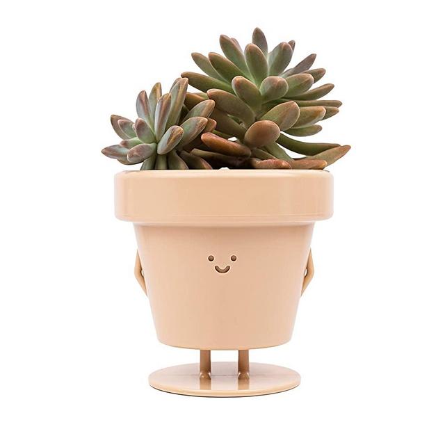 Standing Indoor Plant Pot with Big Personality, Cute Flower Pot with Face, Succulent/Cactus Planter with Drainage Hole, Decorative Plant Pot 3.5 Inch, Novelty Planter (1 x Standing Pot)