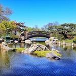 Garden of the Phoenix