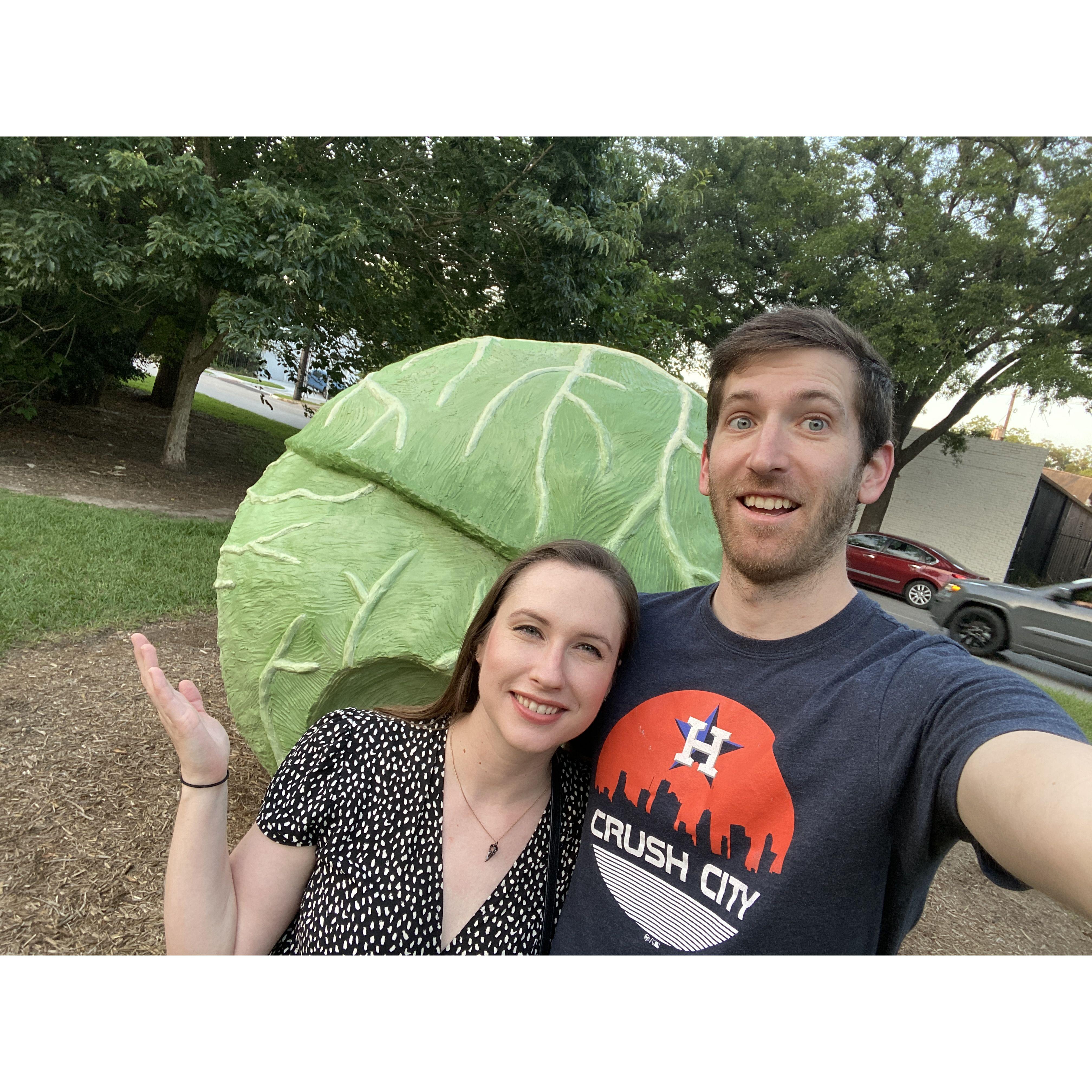Roadside giant cabbage in 2020