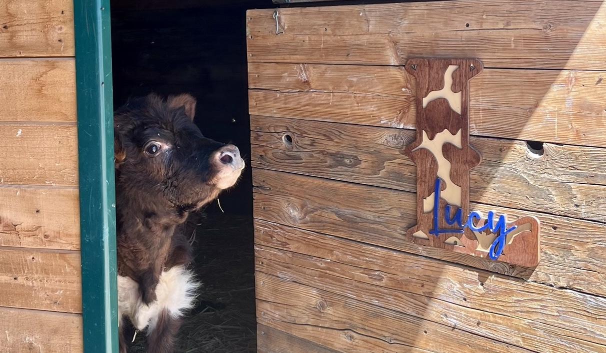 The Wedding Website of Taylor Thurston Adair and Lauren Marie Moncur