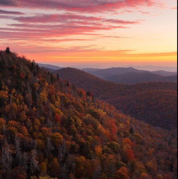 From I DO to Mountain View’s