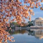 Tidal Basin