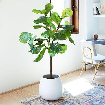 Faux Fiddle Leaf Fig Plant
