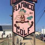 Flamingo Miniature Golf Course