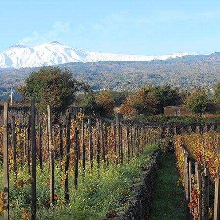 Mt Etna Wine Tour Excursion