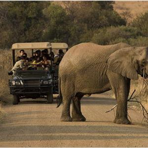 South African 4 night Safari