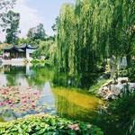 The Huntington Library, Art Collections, and Botanical Gardens