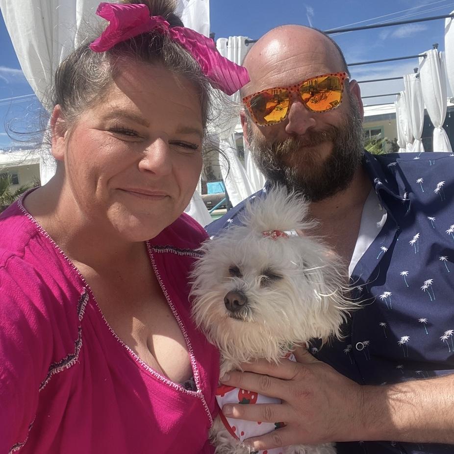 Palm Springs swim vacay