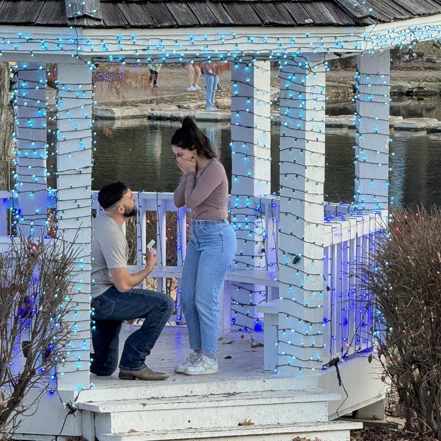 The proposal