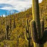 Tucson