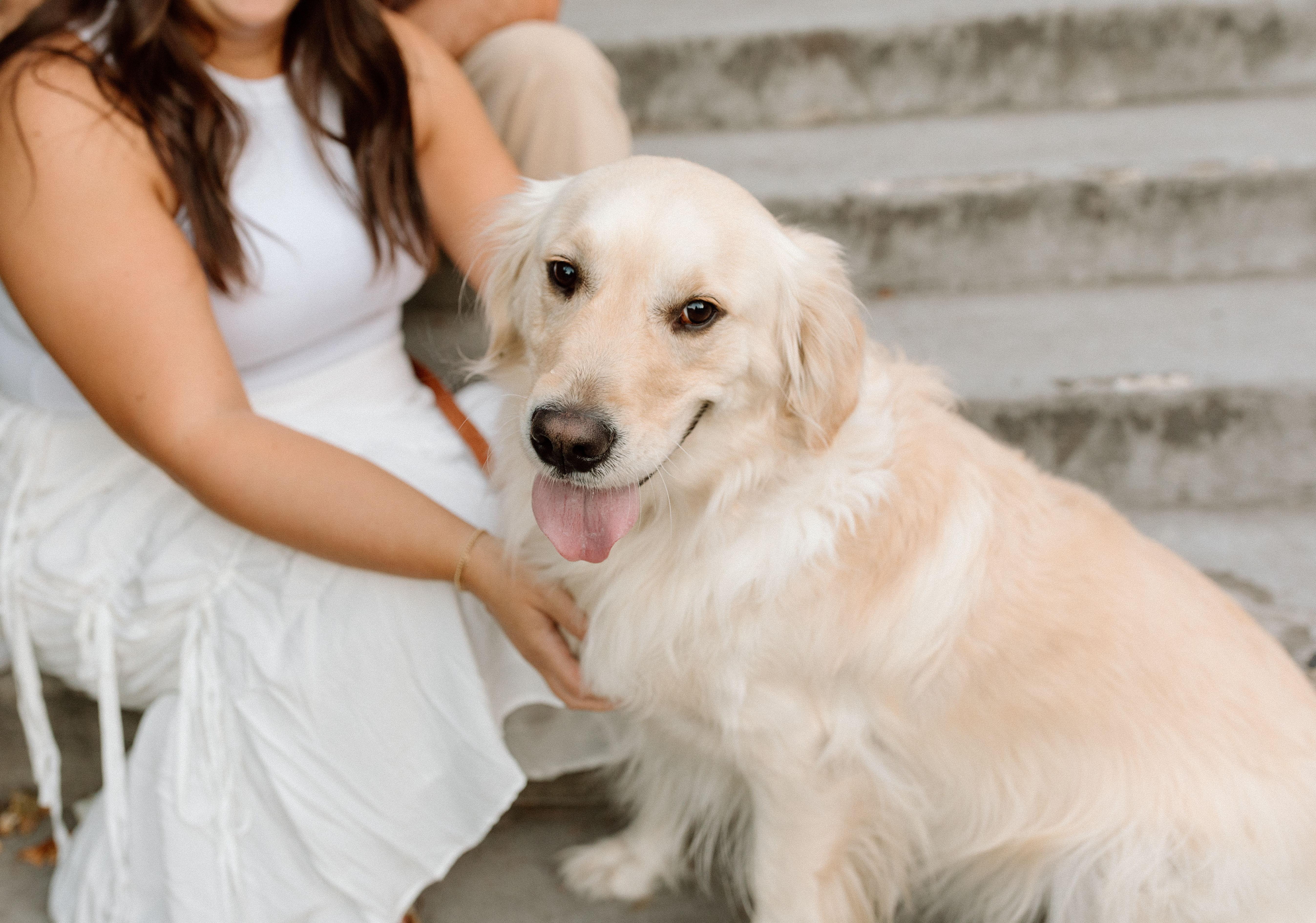 The Wedding Website of Zoe Candler and Christopher McBee