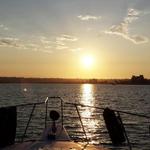 San Diego Bay Cruises