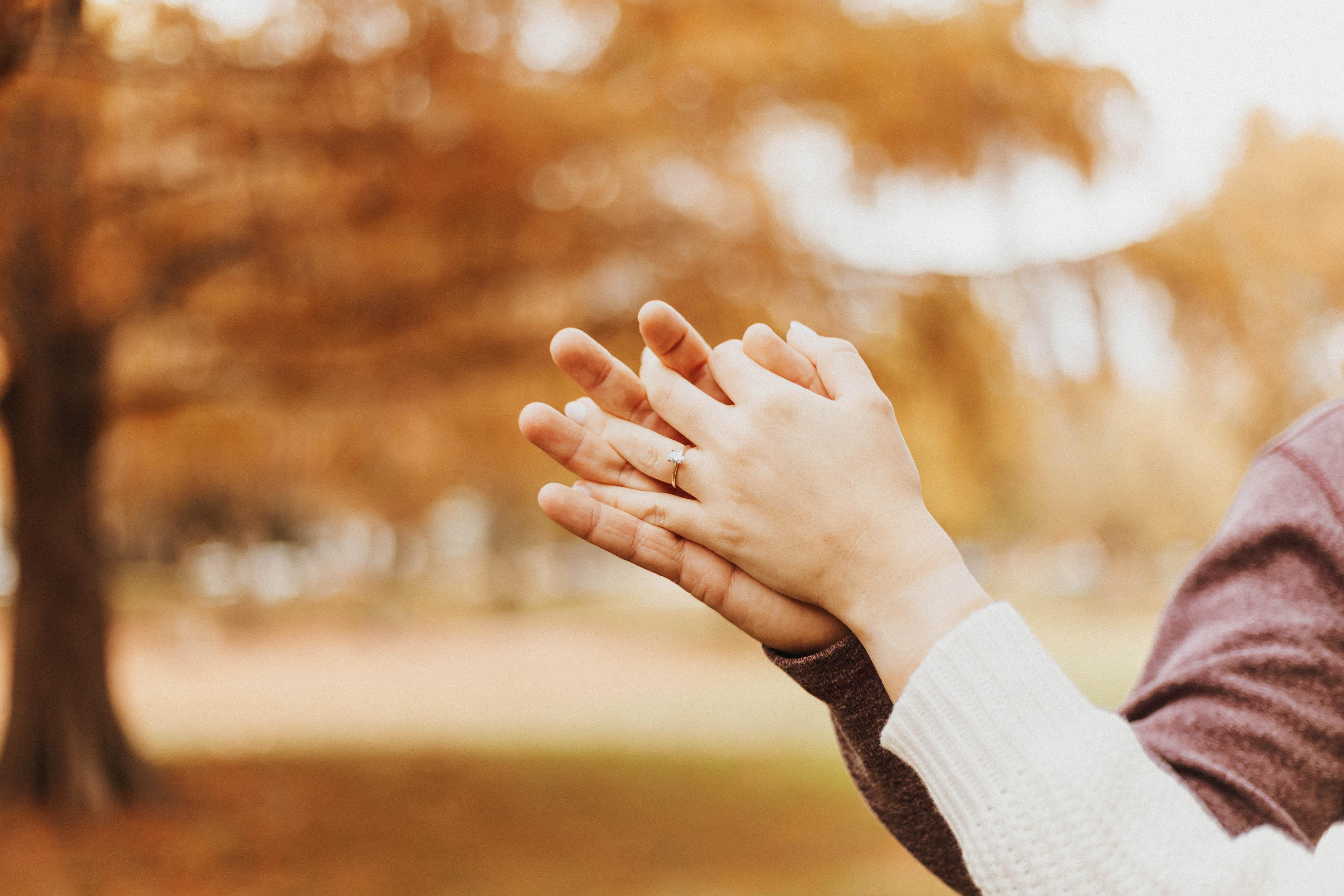 The Wedding Website of Sophia King and Brian King