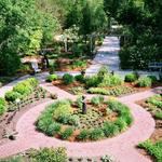 Savannah Botanical Gardens