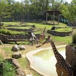 Dallas Zoo
