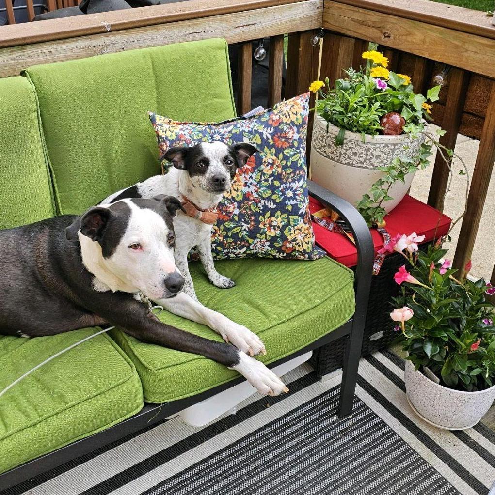 Christina has taken up gardening this year on our patio.