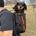 Lakefront Trail
