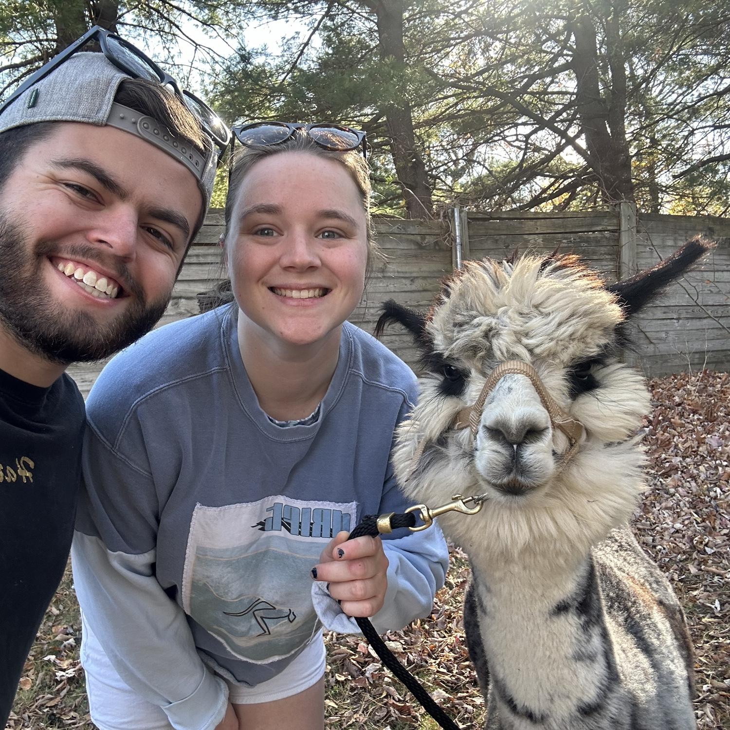 Yes, we will be having alpacas at our wedding.