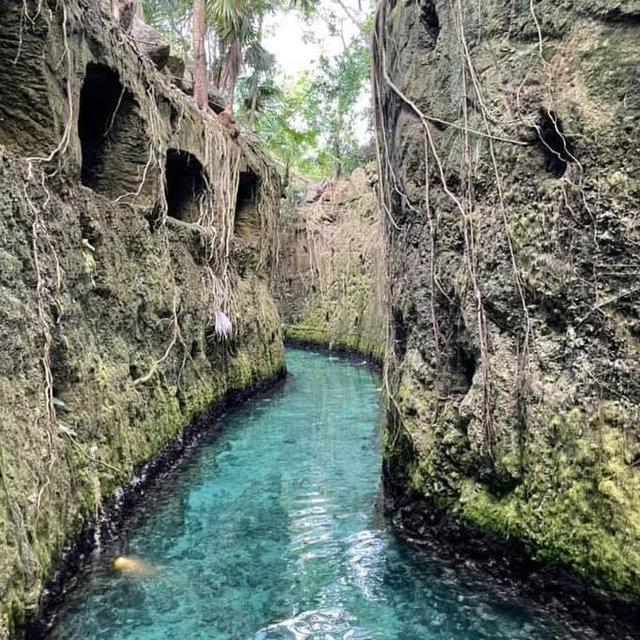 Xcaret Natural Theme Park Tulum