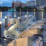 Lake Eola Park Swan Boat Rentals