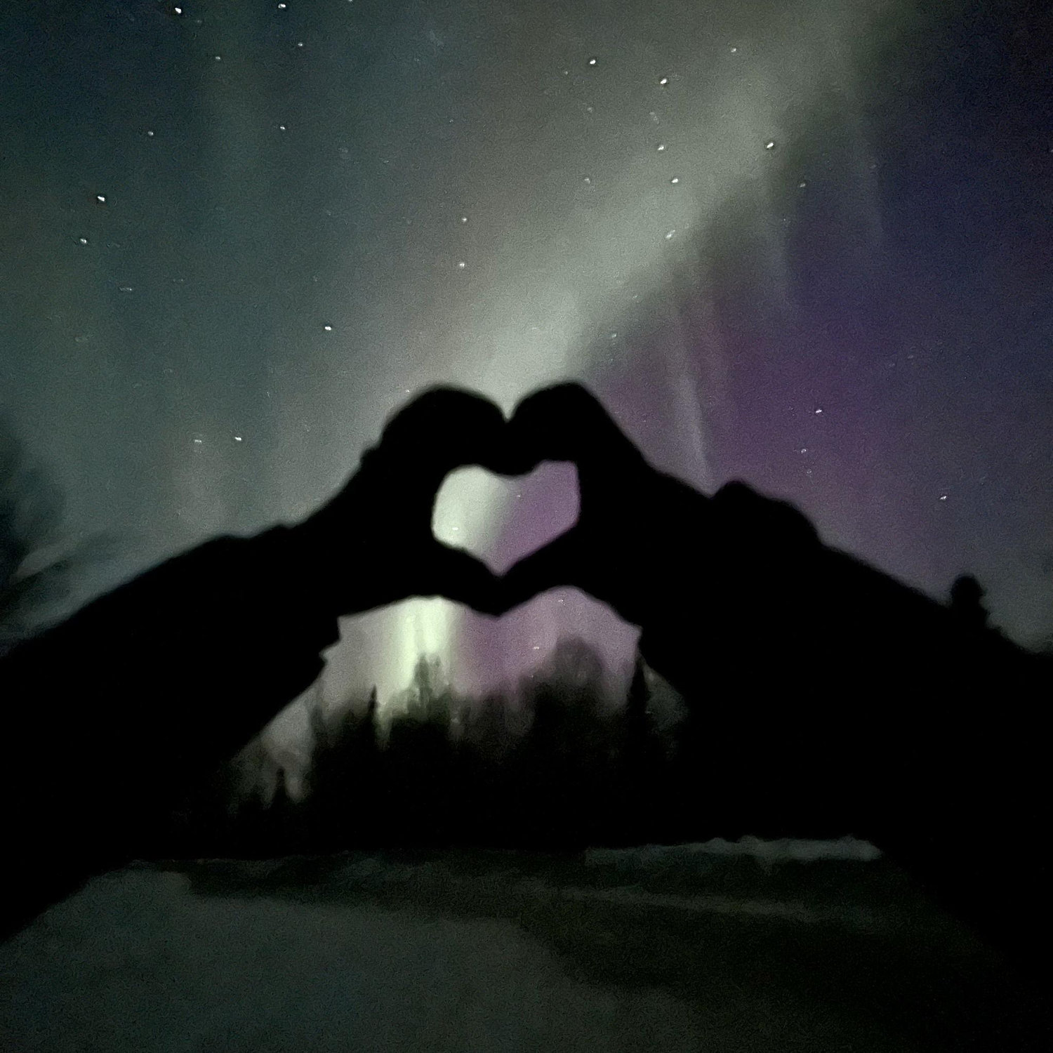 Northern Lights!