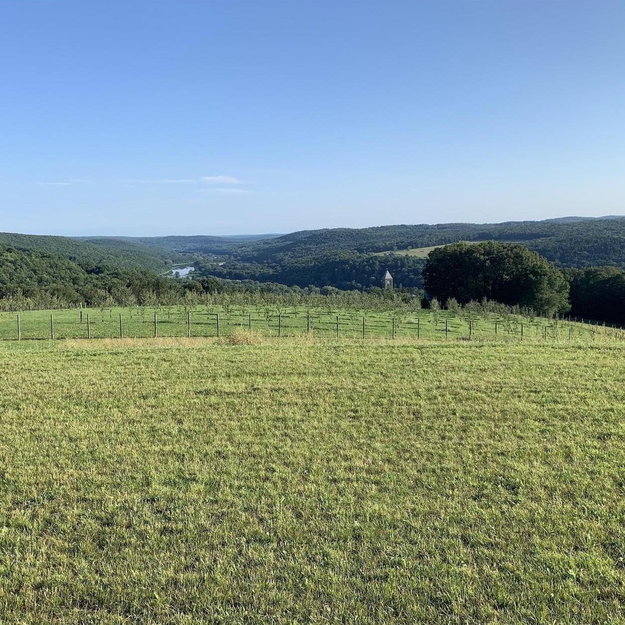 Our venue! Our ceremony will be overlooking the apple & pear orchard. In the distance you can see the Delaware river with NY on the left and PA on the right.
