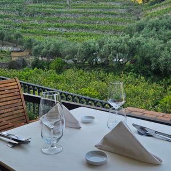 Wine Tasting and Lunch at Buranco Winery in Cinque Terre