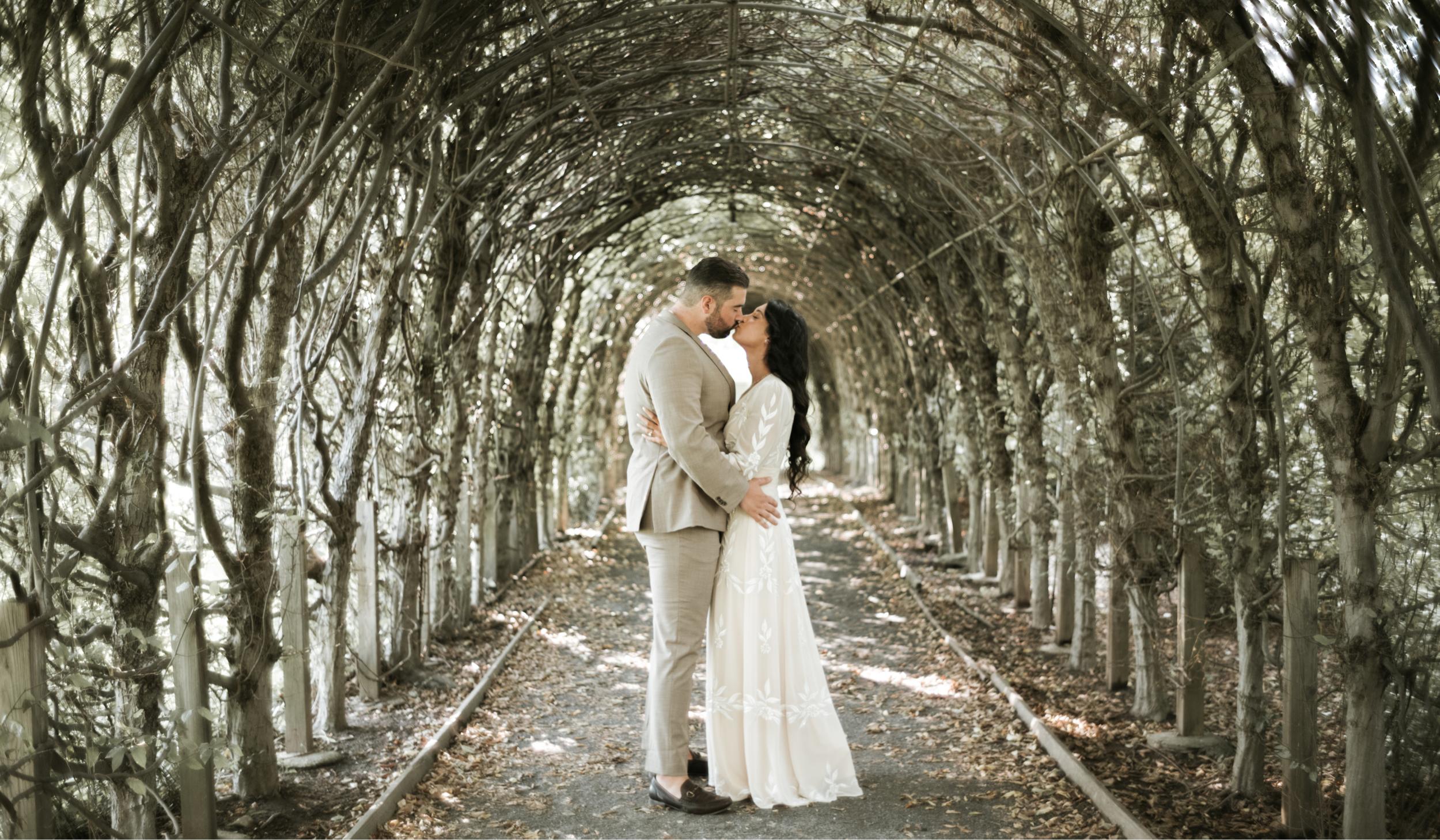 The Wedding Website of Nicole Clark and Alexander Clark