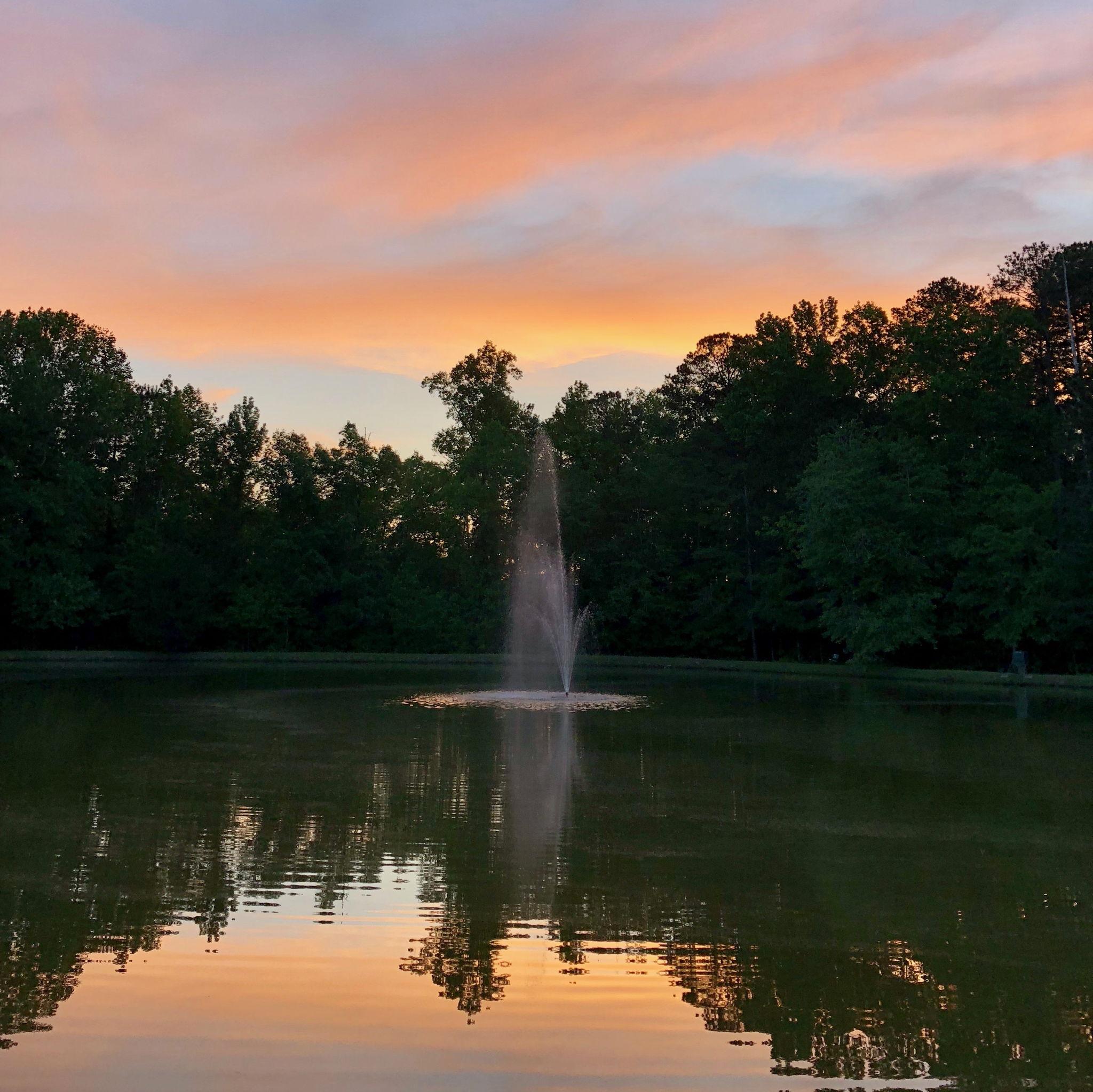 The Pond where we will be getting married!