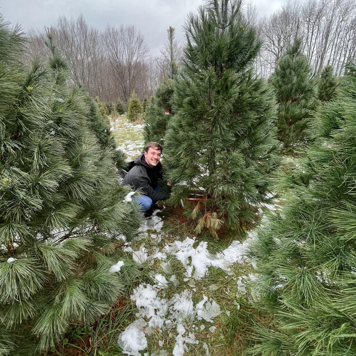 Our tradition of getting our tree (we won’t talk about that ONE time it died on us 😉)