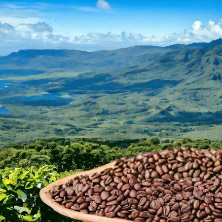 Hawai’i Coffee Farm Tour