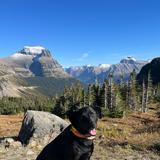 Glacier National Park