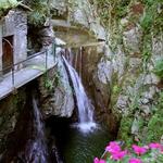 Crott del Pepott