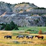 Theodore Roosevelt National Park, South Unit.