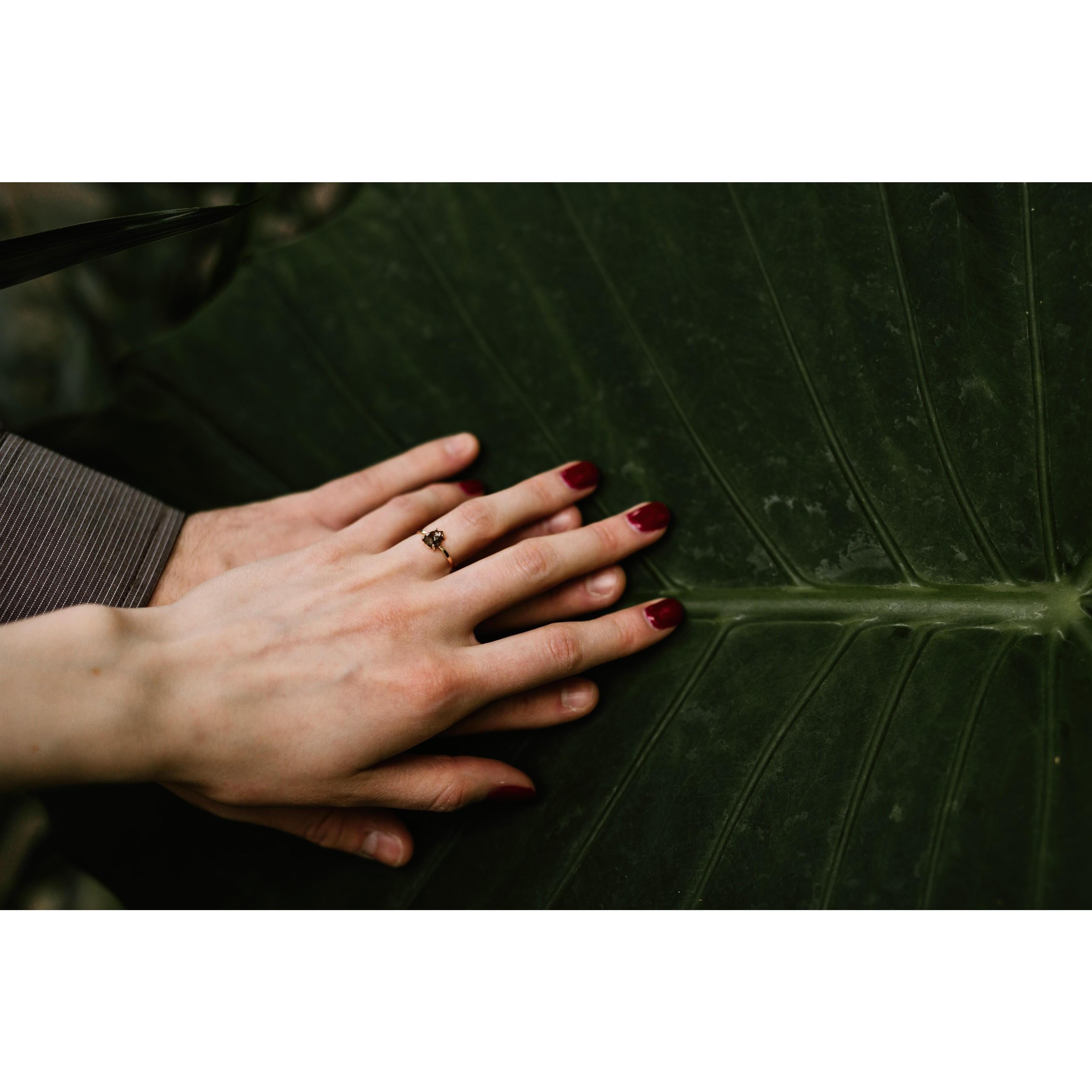 Engagement Shoot, February 2018