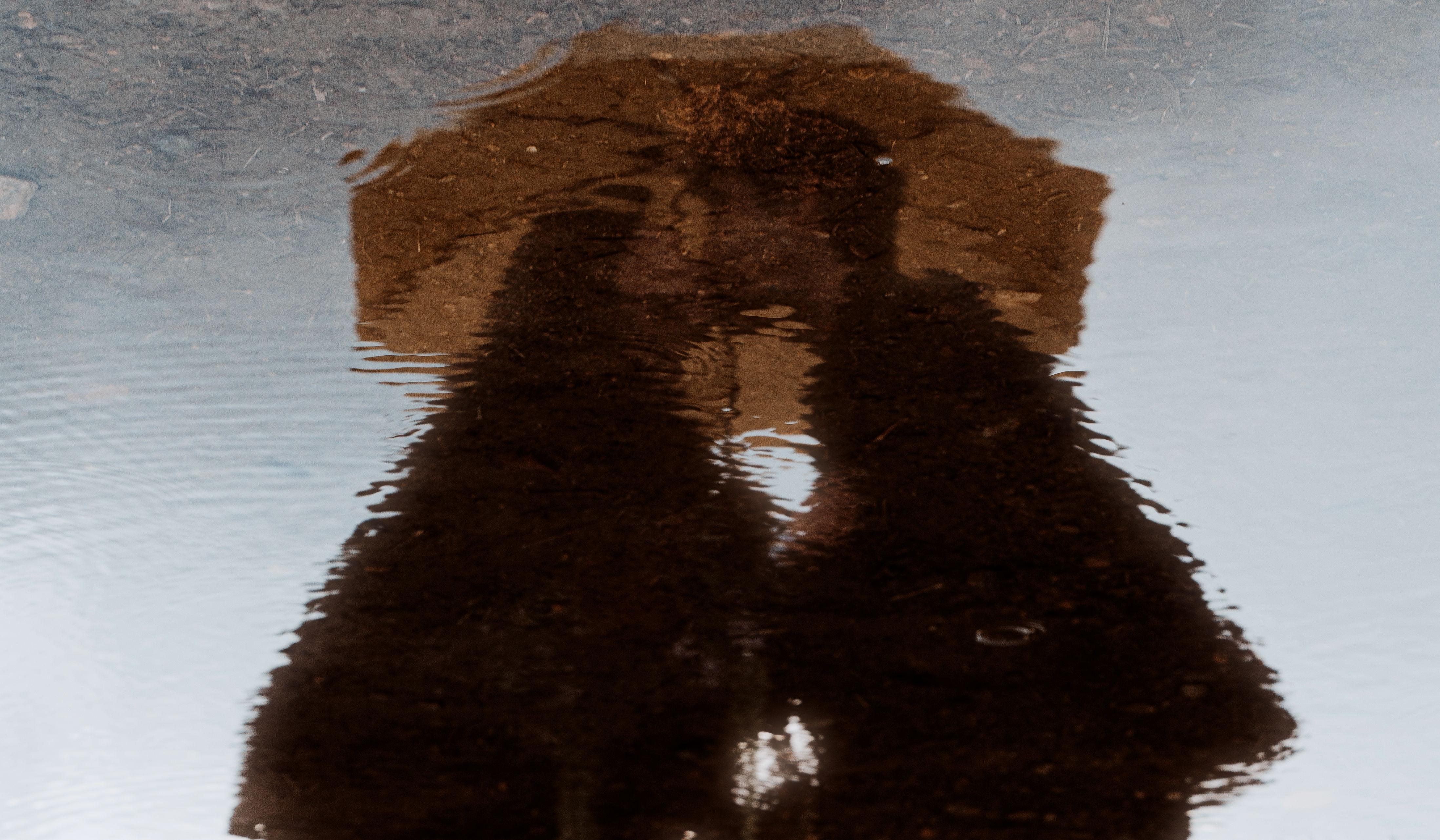 Footer image