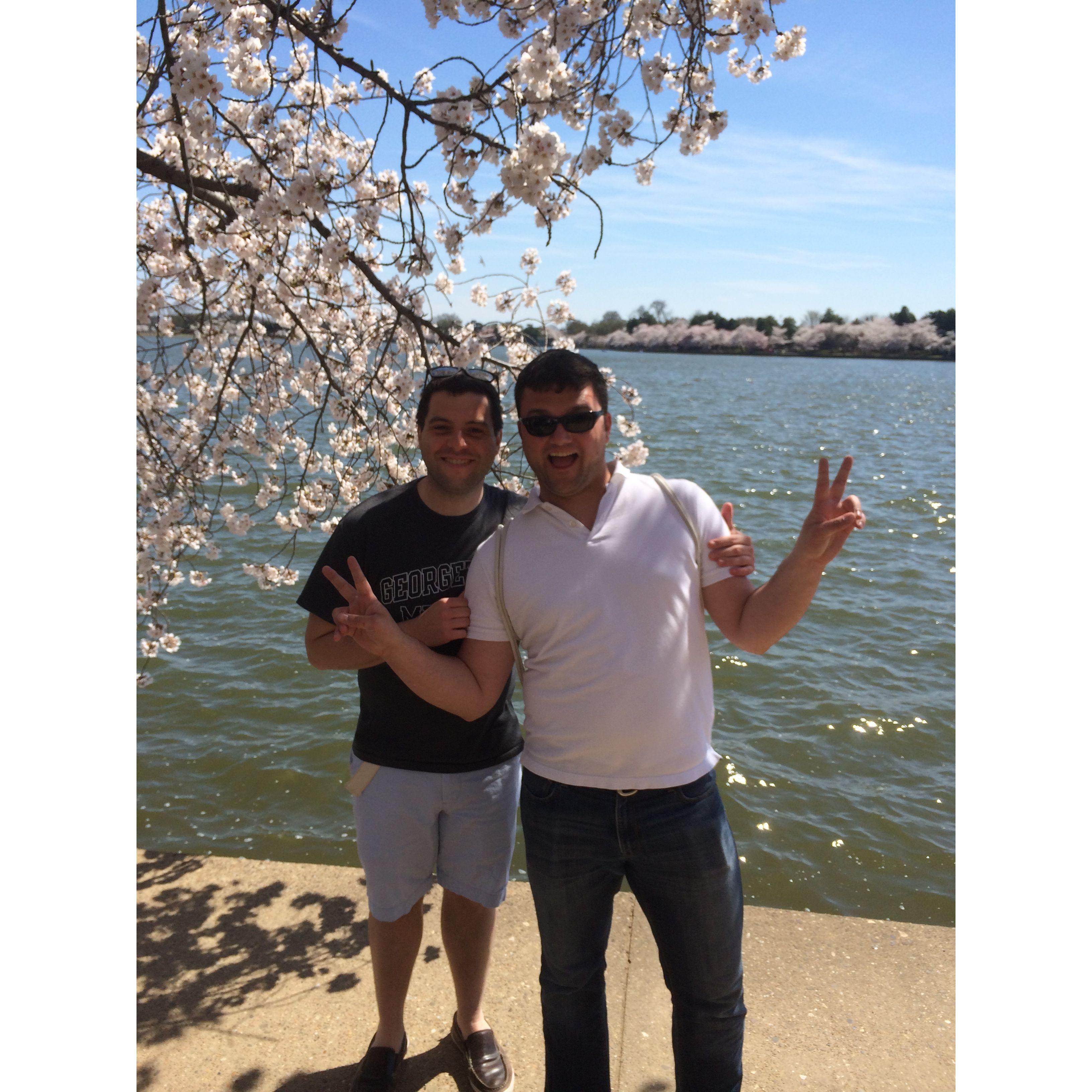 Everyone loves a cherry blossom pic!