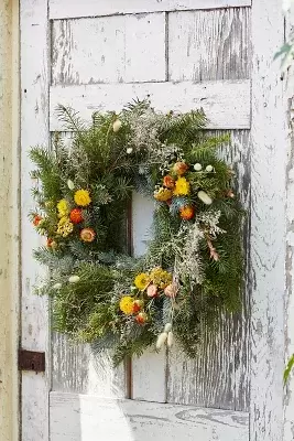 Fresh Noble Fir + Preserved Stem Wreath