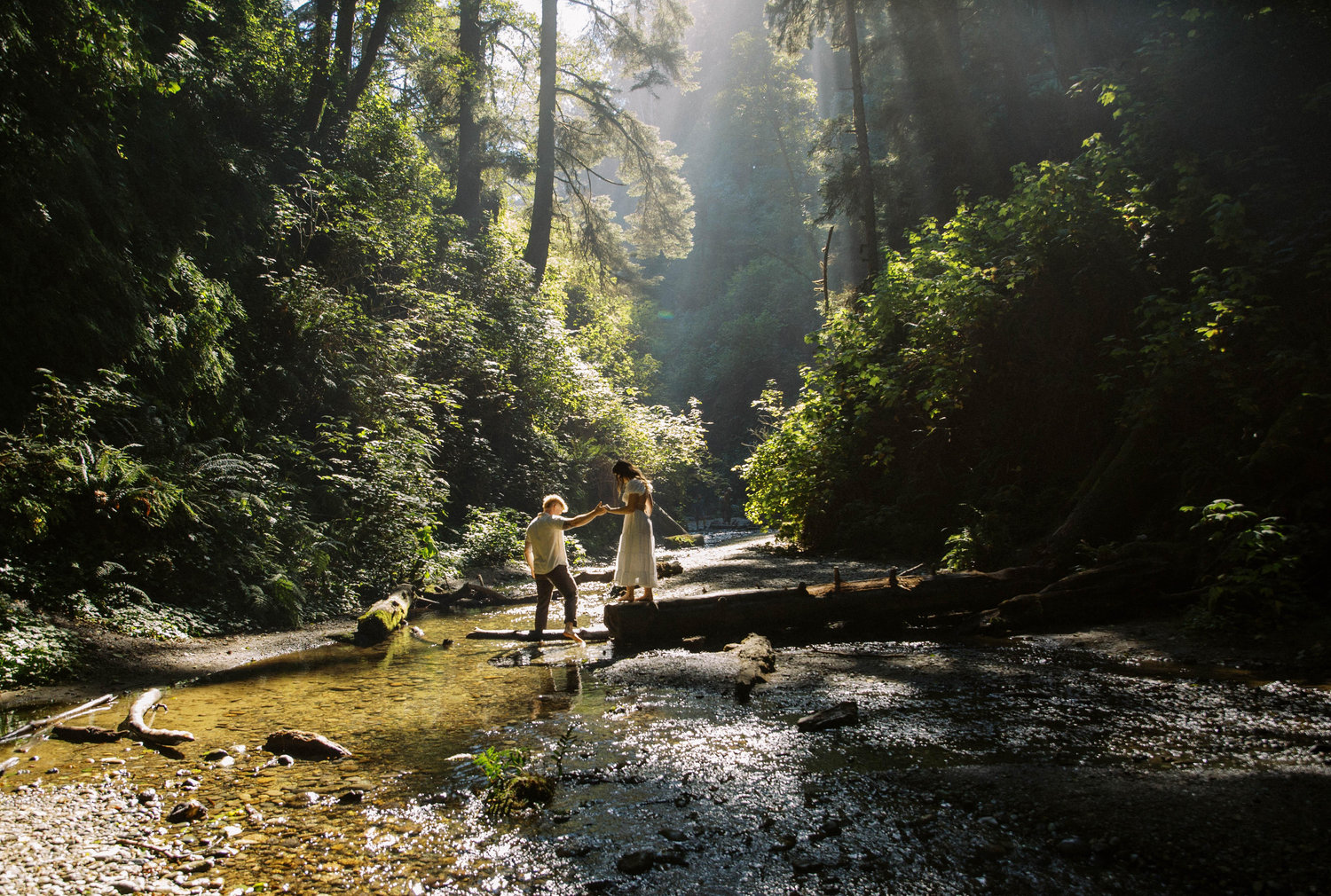 The Wedding Website of Hailey Rose Noelle Johanson and Trevor Paul Smith