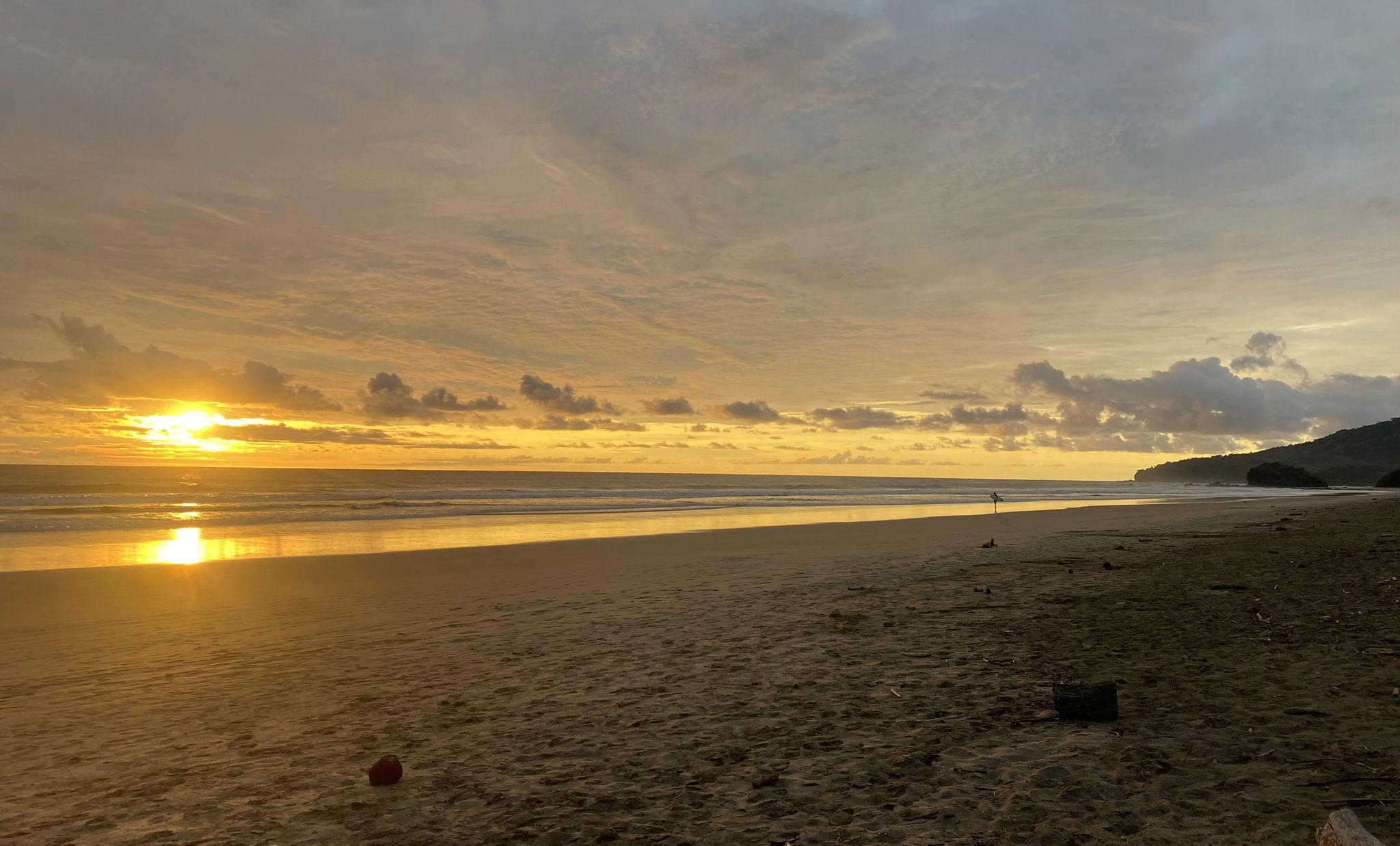 The Wedding Website of Rachel Alford and Eliezer Feliciano