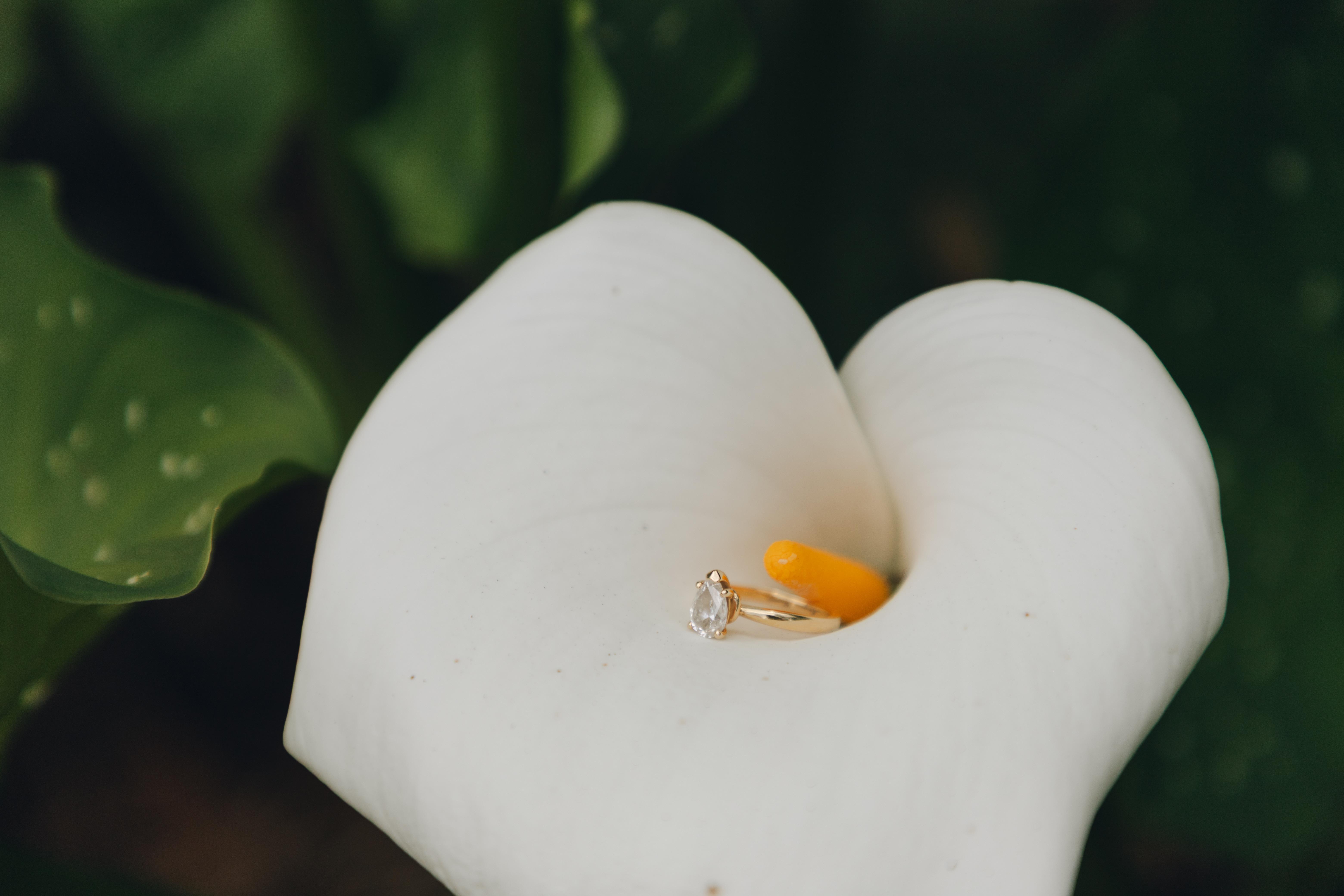 The Wedding Website of Jasmyne Namfang and Juan Castillo