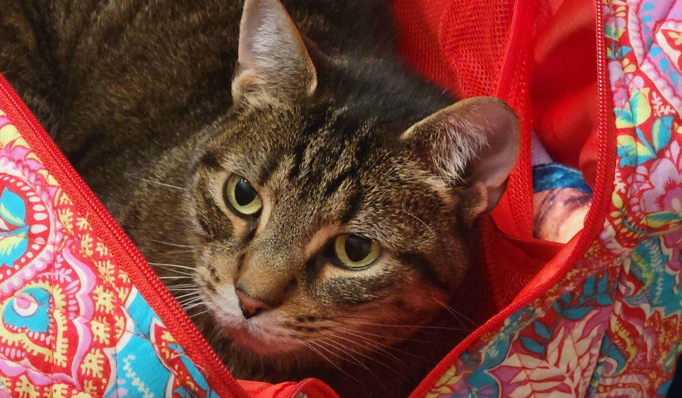 Hero Slideshow Image 2