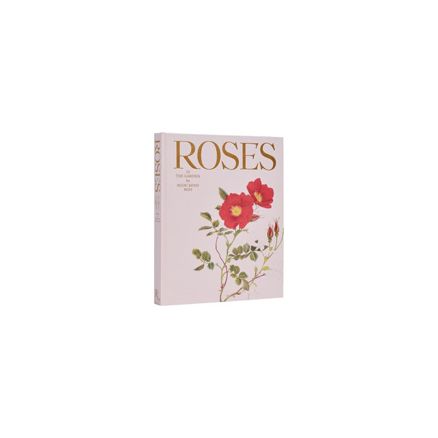 Roses in the Garden - by Ngoc Minh Ngo