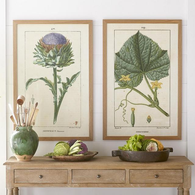Botanical Wall Art – Artichoke